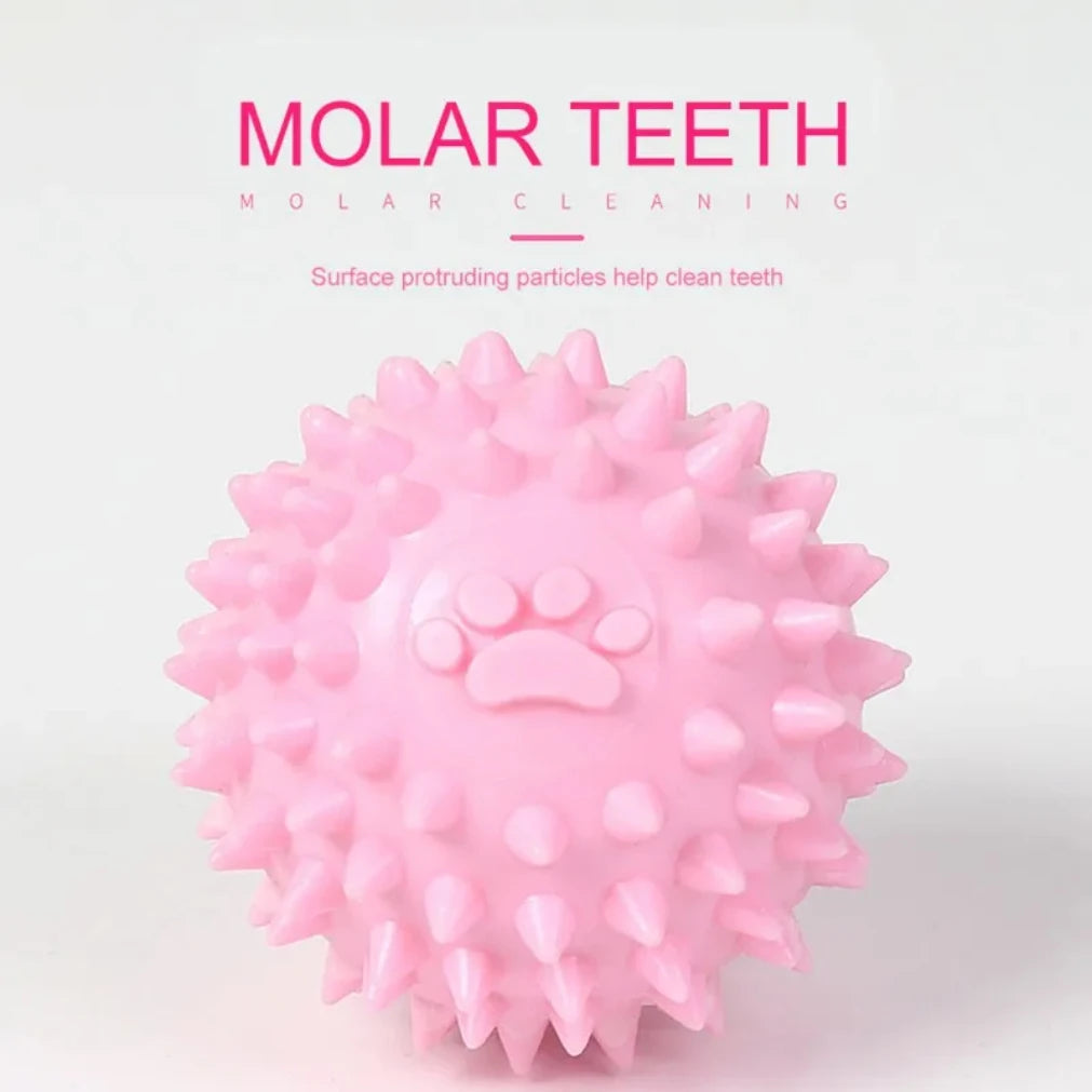 Dog Chewing Toy Interactive Rubber Ball for Small Large Dog Cat Pet Tooth Cleaning Indestructible Footprint Ball Pet Accessories