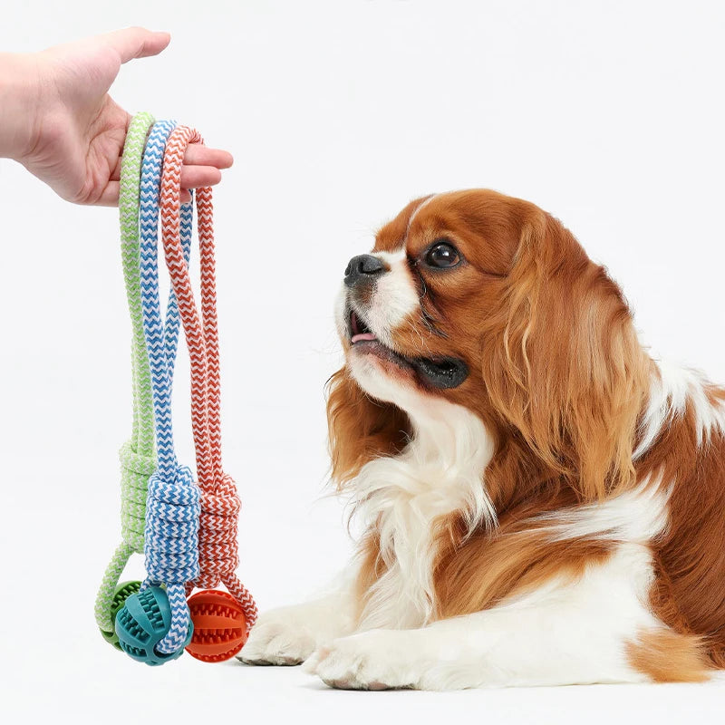 Pet Tooth Cleaning Pet Ball Toy with Rope Rubber Leaking Balls Toy for Small Large Dogs Puppy Chewing Bite Resistant Toys